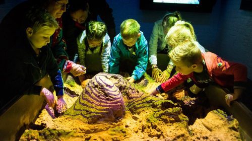 Kinderen spelen met de interactieve zandbak met hoogteprojectie